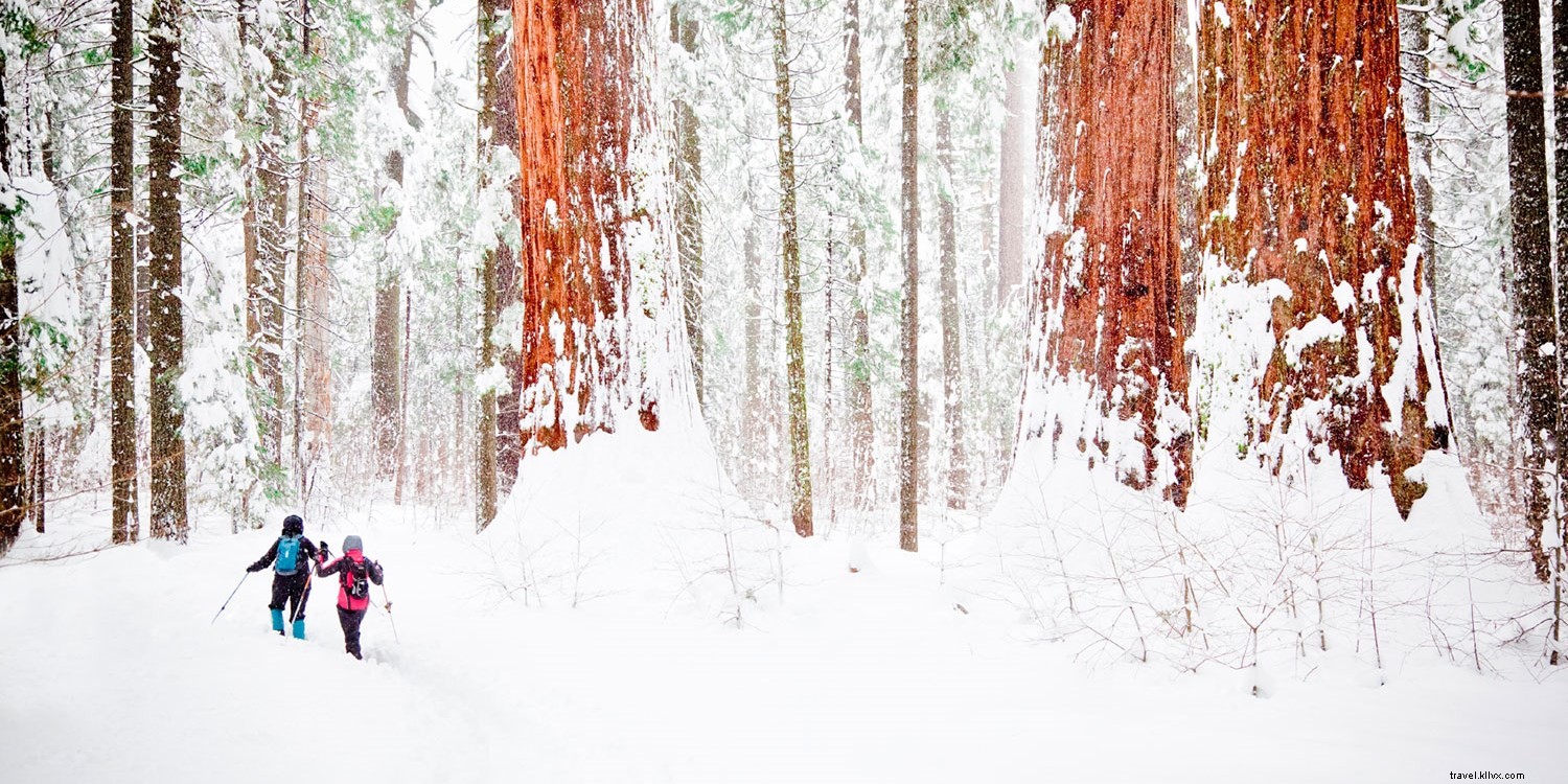 Escape Super Bowl 50 Chaos: Best Hotel Deals for San Francisco Locals